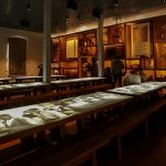 exposicao-longa-duracao-3-thumb-29-01-2020-21-06